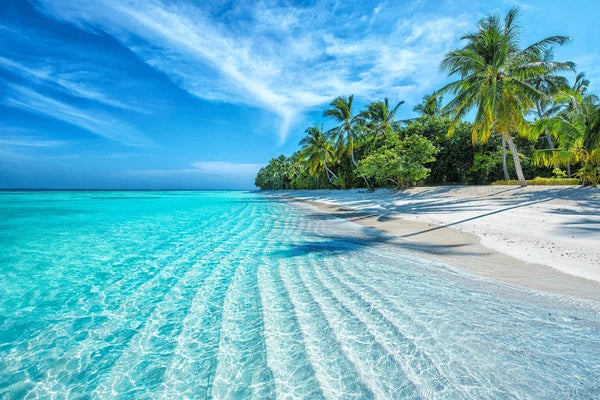 We Came for the Bliss — and Left Transformed: Inside Breathe Degrees’ First-Ever Caribbean Retreat